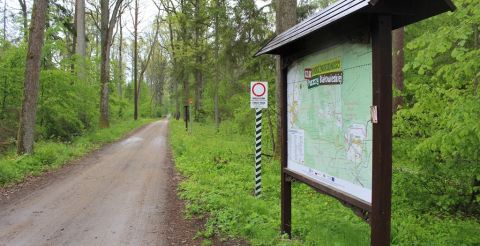 Na szlaku bioróżnorodności - tablica z mapą trasy przy leśnej drodze