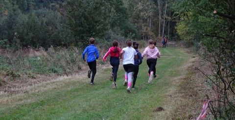 Grupa biegnących wbiega w las