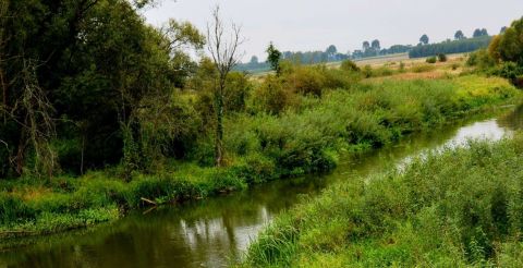 Rzeka Narew  - przed wiekami ważny szlak komunikacyjny